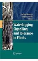 Waterlogging Signalling and Tolerance in Plants