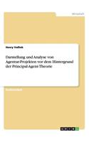 Darstellung und Analyse von Agentur-Projekten vor dem Hintergrund der Principal-Agent-Theorie