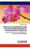 Genetic Relationship and in Vitro Propagation of Phalaenopsis Gigantea
