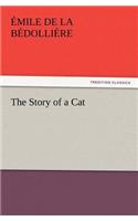 The Story of a Cat