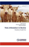 Ticks infestation in Bovine