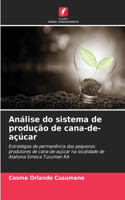 Análise do sistema de produção de cana-de-açúcar