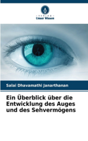 Ein Überblick über die Entwicklung des Auges und des Sehvermögens