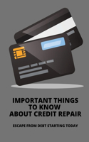 Important Things To Know About Credit Repair