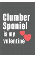 Clumber Spaniel is my valentine: For Clumber Spaniel Dog Fans