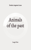 Animals of the past: Large Print