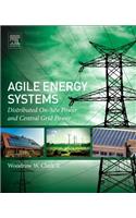 Agile Energy Systems