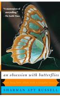 An Obsession With Butterflies