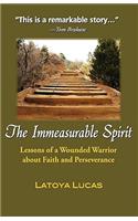 The Immeasurable Spirit: Lessons of a Wounded Warrior about Faith and Perseverance