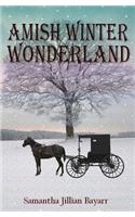 Amish Winter Wonderland: Book Two