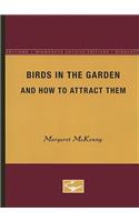 Birds in the Garden and How to Attract them