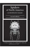 Spiders of North America