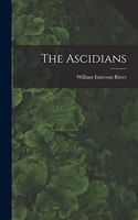 Ascidians