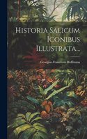 Historia Salicum Iconibus Illustrata...