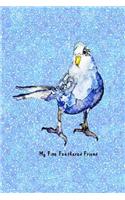 My Fine Feathered Friend