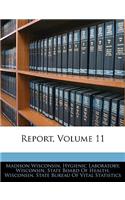 Report, Volume 11: (English)
