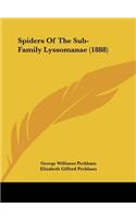 Spiders of the Sub-Family Lyssomanae (1888)