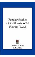 Popular Studies Of California Wild Flowers (1920)