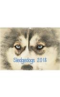 Sledgedogs 2018 / UK-Version 2018