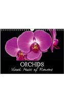 Orchids 2018