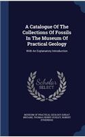 Catalogue Of The Collections Of Fossils In The Museum Of Practical Geology