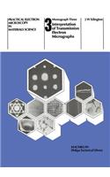 Interpretation of Transmission Electron Micrographs