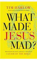 What Made Jesus Mad?