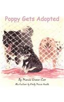 Poppy Gets Adopted