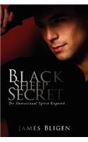 Black Sheep Secret: The Homosexual Spirit Exposed(English)