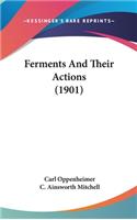 Ferments and Their Actions (1901)