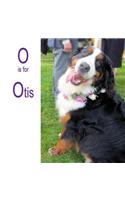 O is for Otis