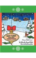 Junior Rabbit Learns About Christmas