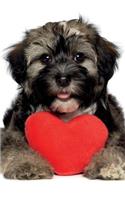 Havanese March Notebook & Journal. Productivity Work Planner & Idea Notepad: Brainstorm Thoughts, Self Discovery, To Do List