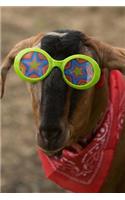 A Styling Goat in a Bandana and Silly Glasses Journal: 150 Page Lined Notebook/Diary