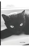 Journal Pages - Ebony Cat: 6" x 9", Lined Journal, Durable Cover,150 Pages For Writing (Journal Notebook)