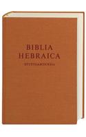 Hebrew Bible-FL-Standard
