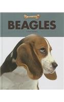 Beagles