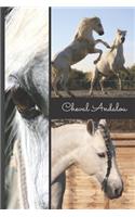 Cheval Andalou