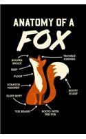 Anatomy Of A Fox