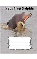 Indus River Dolphin College Ruled Line Paper Composition Book