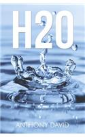 H2O