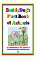 Buddydog's First Book Of Animals: A Picture Book of Animals(100 Buddydog Learning)