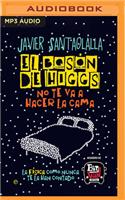 Bosón de Higgs No Te Va a Hacer La Cama