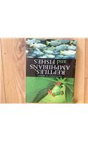 Reptiles, Fish and Amphibians