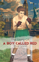 Story of a Boy Called Red