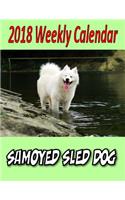 2018 Weekly Calendar Samoyed Sled Dog