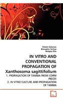 IN VITRO AND CONVENTIONAL PROPAGATION OF Xanthosoma sagittifolium: (English)