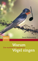 Warum Vögel Singen