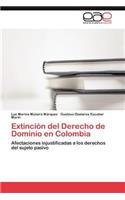 Extinción del Derecho de Dominio en Colombia