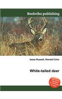 White-Tailed Deer